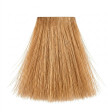 Itallian Color Coloração S/Amônia 0.03 Intensificador Dourado 60g