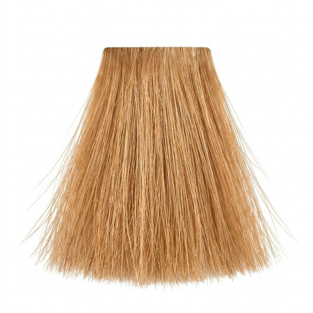 Itallian Color Coloração S/Amônia 0.03 Intensificador Dourado 60g